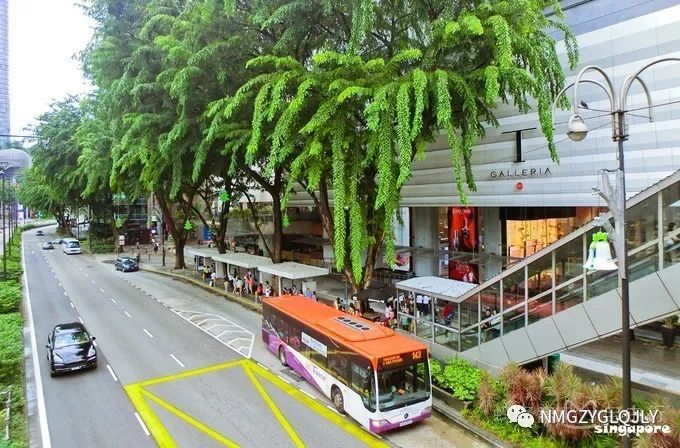 民丹岛旅游攻略_民丹岛_丹山群岛攻略