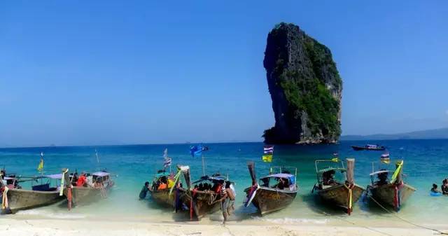 红树林旅游度假区_甲米红树林游玩攻略_红树林度假