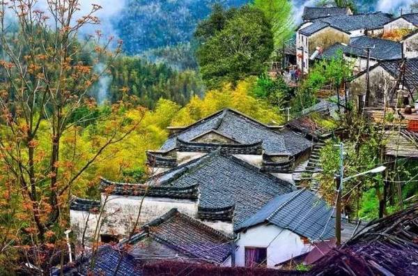 桐庐 荻浦村_桐庐荻浦花海门票_桐庐荻浦花海旅游攻略