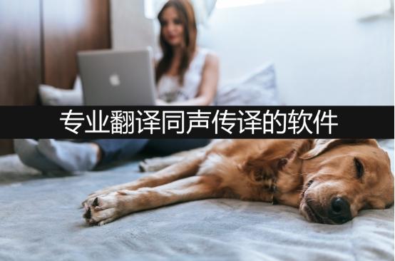 专业翻译同声传译的软件有哪些？
