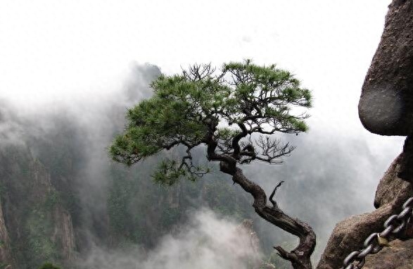 凤凰古城地址在哪_凤凰古城旅游攻略网_古凤凰城遗址
