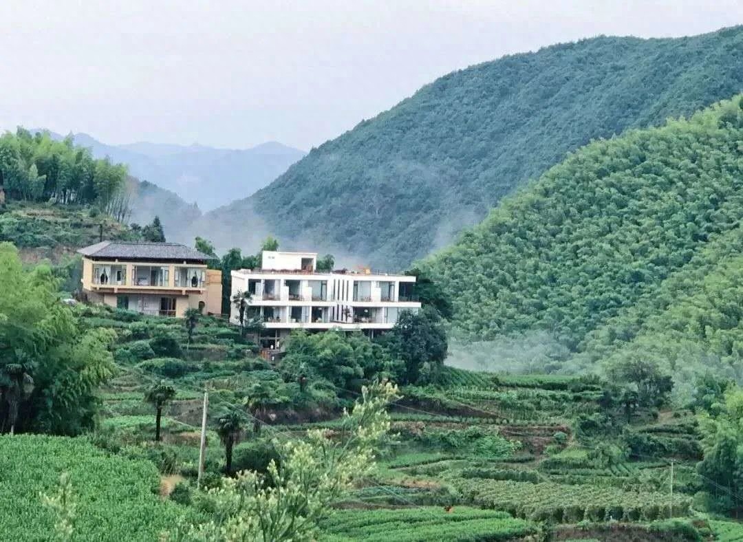 丽水神龙谷旅游攻略_炎陵神龙谷旅游_遂昌神龙谷游玩攻略