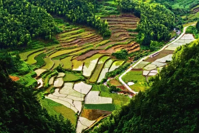 丽水神龙谷天气_炎陵神龙谷旅游_丽水神龙谷旅游攻略