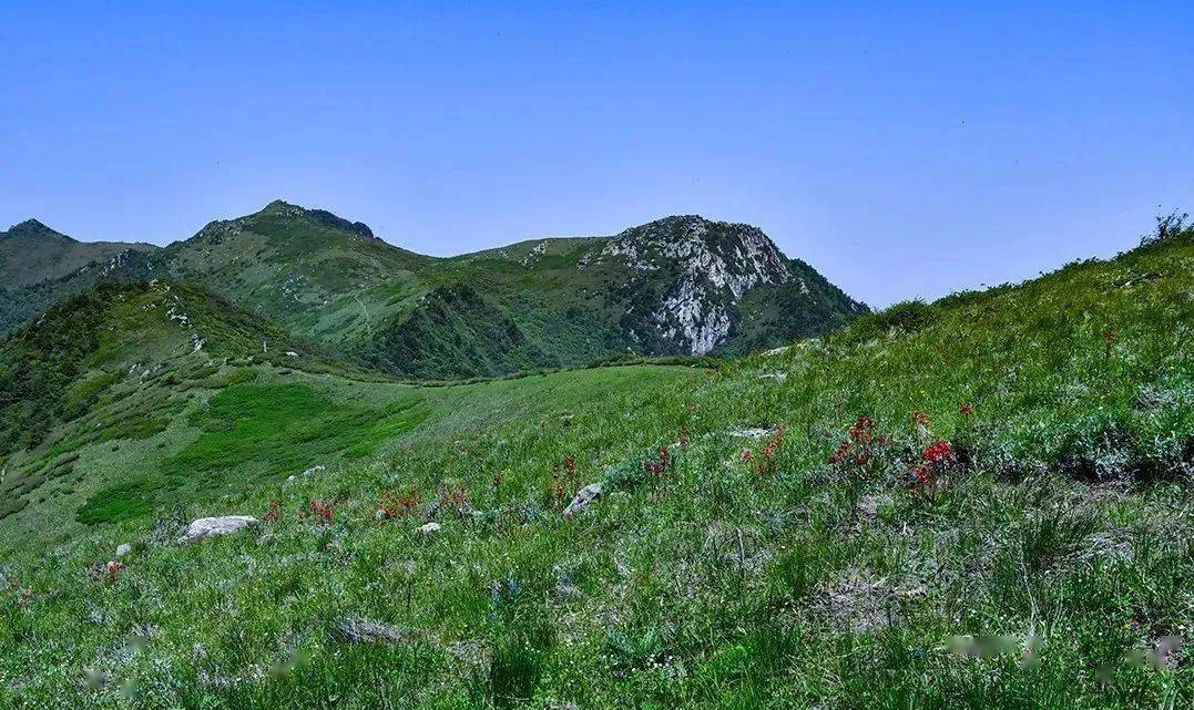 草原天路 旅游攻略_天路草原门票_天路草原哪里好玩