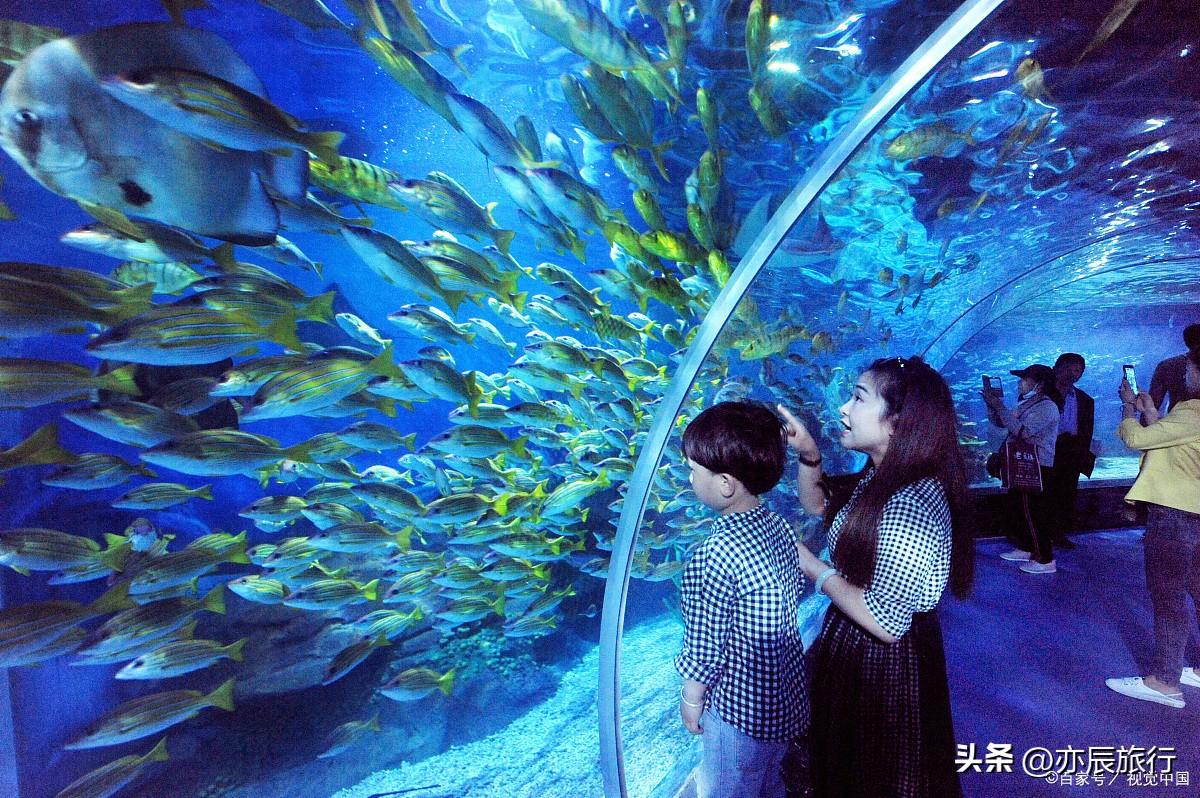 福州攻略附近旅游的地方_福州及附近旅游_福州附近旅游攻略