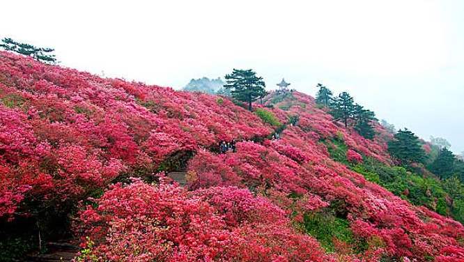 湖北三峡大坝旅游攻略_湖北三峡大坝景区门票_湖北旅游景点三峡大坝