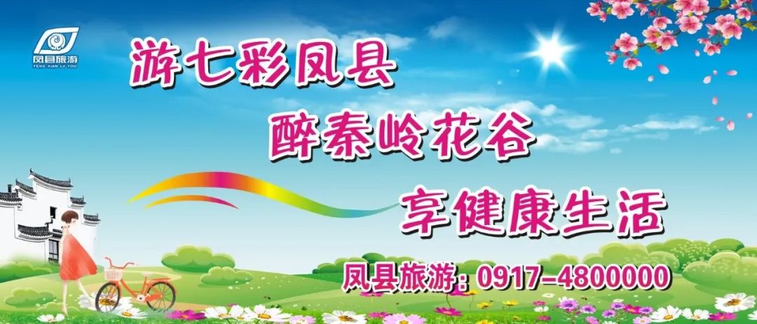 “赏高山花海游康养福地”2020年宝鸡全媒体记者走进通天河国家森林公园采风活动圆满举行