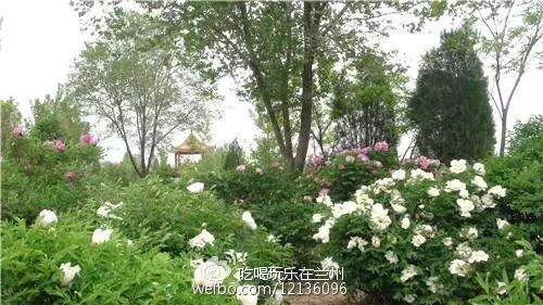 兰州市五泉山旅游攻略_兰州五泉山在哪儿_兰州五泉山具体位置