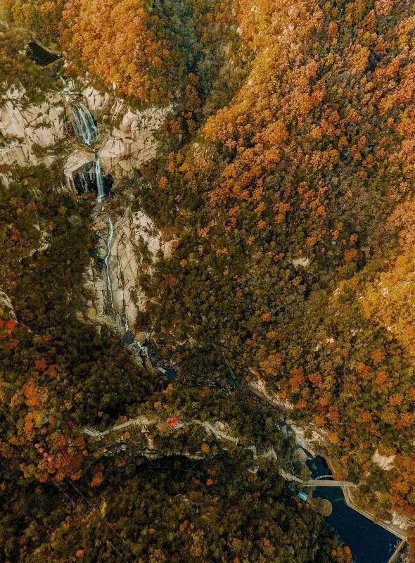 费县景点_费县旅游景点大全便宜_费县好玩的景点