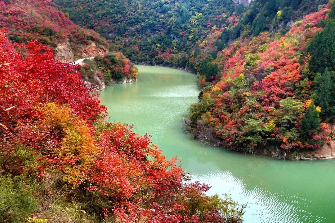 老年人国内旅游_中国老年旅游_老年旅游国内人多吗