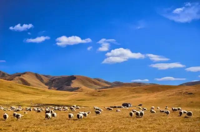 中国老年旅游_老年人国内旅游_老年旅游国内人多吗