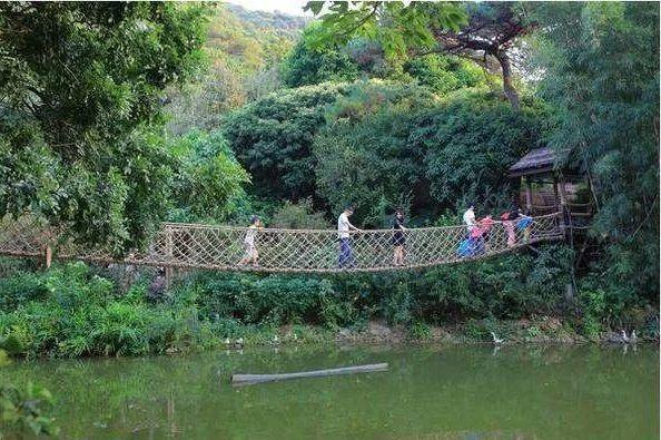 南京哪里好玩景点排名_深圳免费景点好玩排名_深圳好玩的景点排名