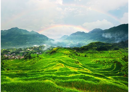 杭州到丽水旅游攻略_丽水 旅游 攻略_丽水市旅游攻略