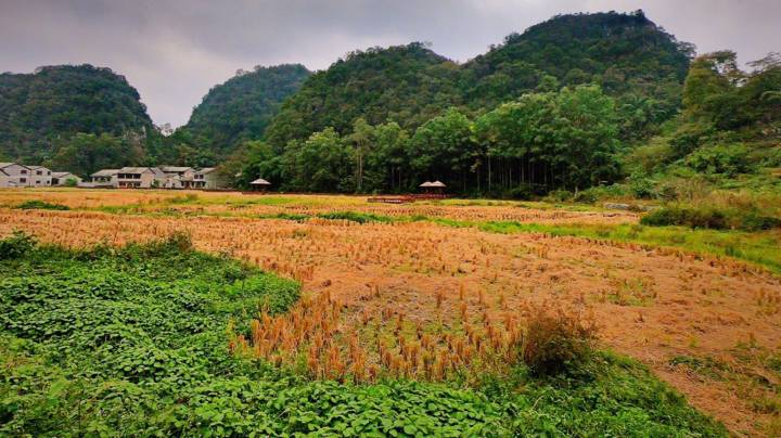 贵州秋季旅游攻略，全面提升多彩贵州旅游影响力！