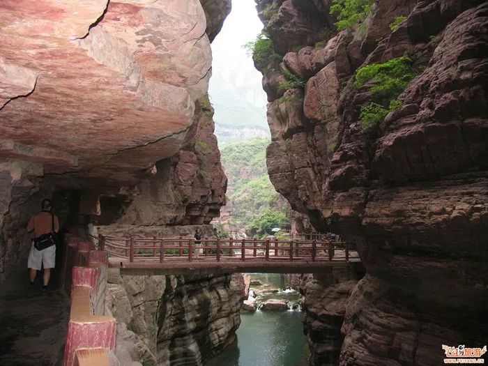 王莽岭景区视频_王莽岭旅游攻略_王莽岭景色