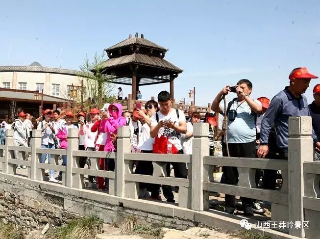 山西王莽岭旅游攻略_王莽岭旅游攻略_太行山王莽岭旅游攻略