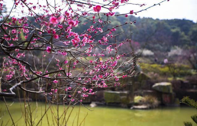 中国老年旅游_老年人国内旅游_我国老年人旅游市场现状分析