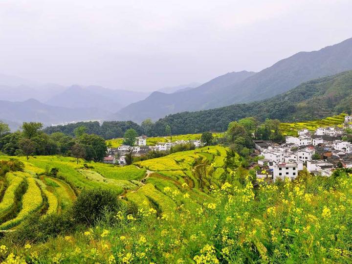 北京到婺源自驾游攻略_北京到婺源旅游攻略_广州到婺源旅游攻略