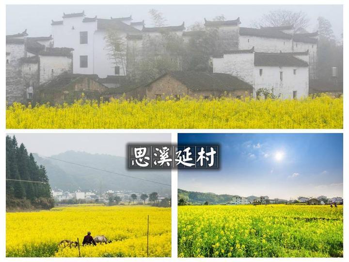 北京到婺源旅游攻略_广州到婺源旅游攻略_北京到婺源自驾游攻略