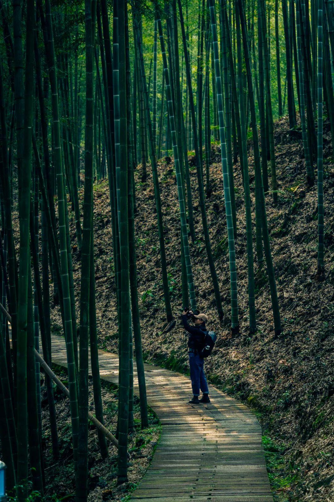 遵义攻略旅游景点_遵义的旅游攻略_遵义旅游攻略