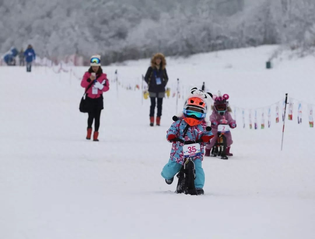 西岭雪山旅游攻略6月_西岭雪山旅游攻略6月_西岭雪山旅游攻略6月