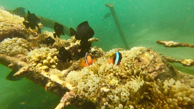 巴厘岛旅游价格表_巴厘岛旅游要多少钱知乎_巴厘岛2人旅游攻略花费