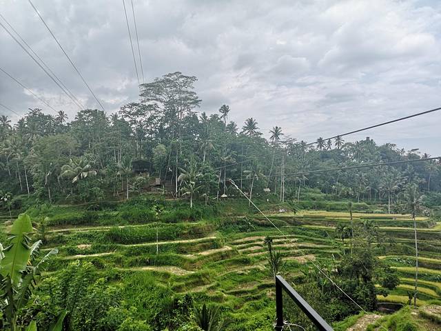 巴厘岛旅游要多少钱知乎_巴厘岛旅游价格表_巴厘岛2人旅游攻略花费
