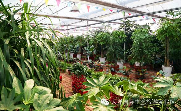 冬天去国外旅游_冬天去国外旅游去哪最好的地方_国外旅游攻略