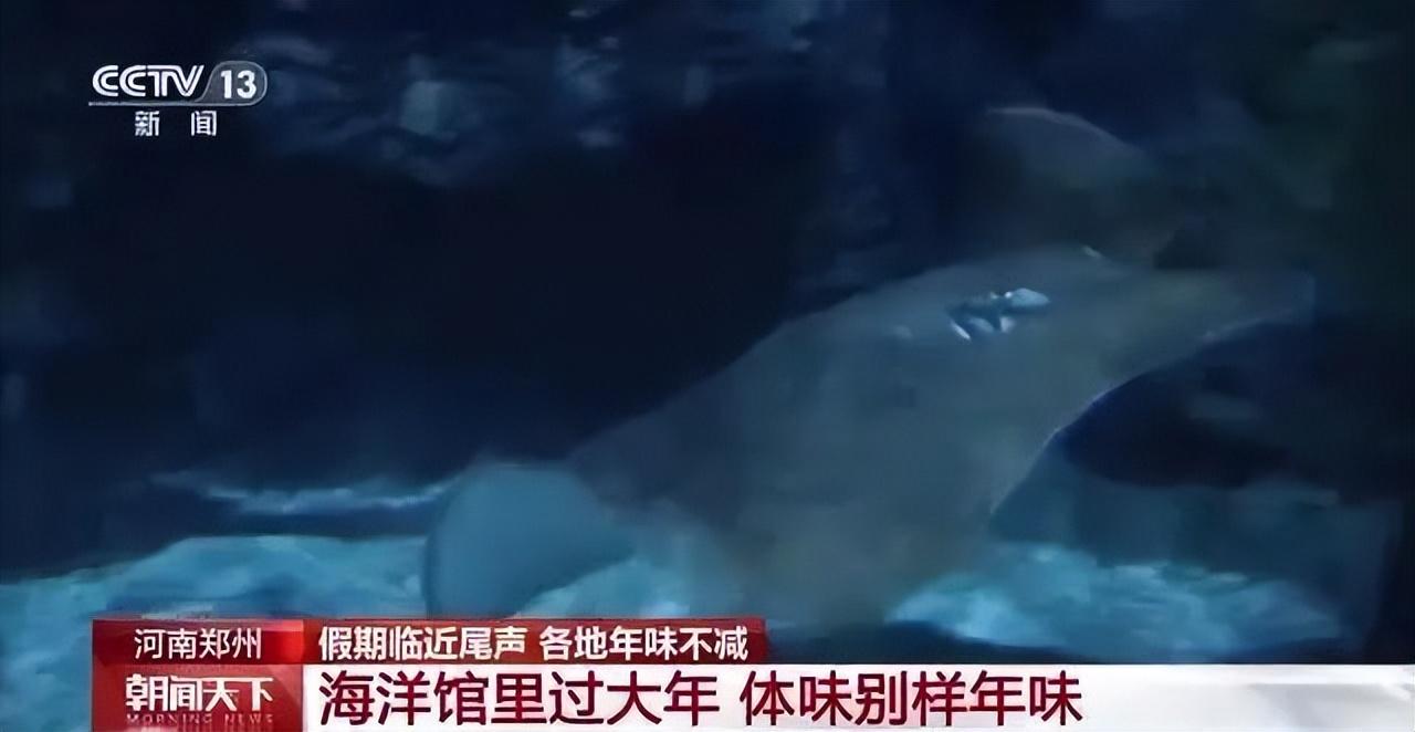 暑假适合去哪里旅游国外_暑假去哪旅游国外_暑假去哪里旅游好国外