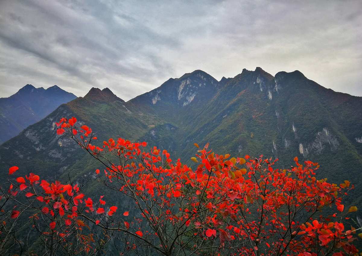 山东文旅景区多家景区推出门票优惠活动