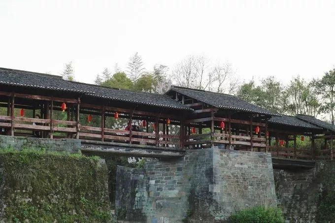 福州婺源一日游_福州去婺源_福州到婺源旅游攻略