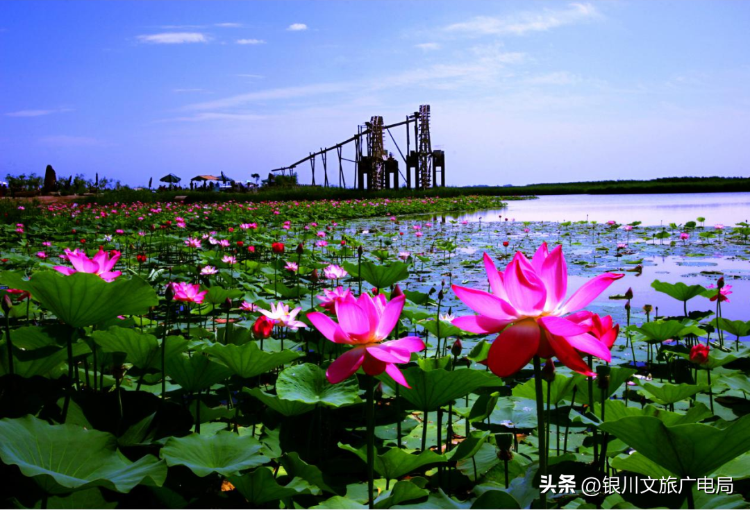 宁夏银川攻略旅游景点推荐_宁夏银川旅游攻略景点必去_宁夏银川旅游攻略