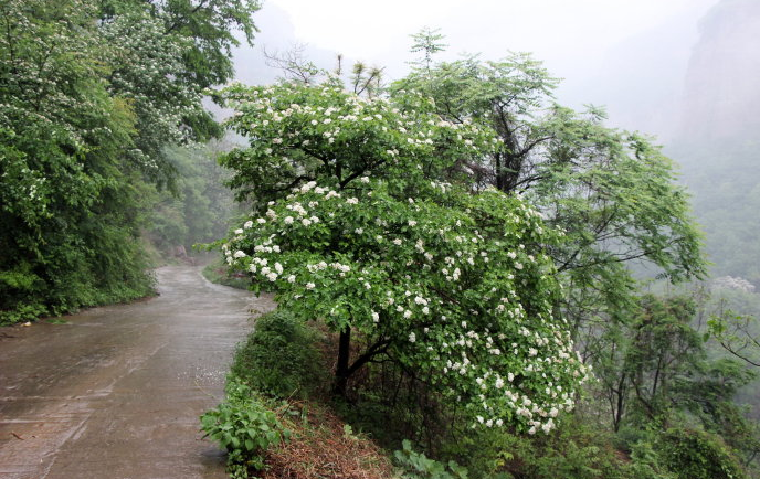太行山郭亮村旅游攻略_辉县郭亮村旅游攻略_自驾游郭亮村旅游攻略