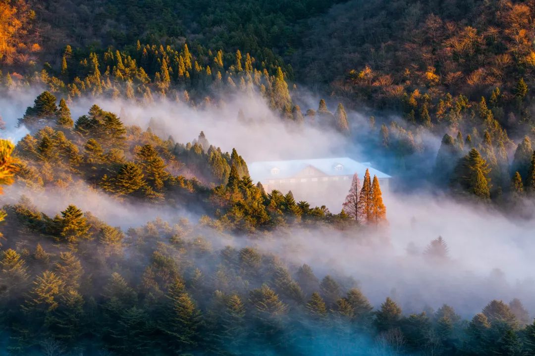 自驾庐山旅游攻略一日游_庐山自驾游路线_庐山自驾游旅游攻略