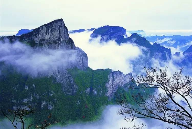 张家界的天门山好玩?_张家界国家森林公园和天门山哪个好玩_天门山好玩还是武陵源好玩