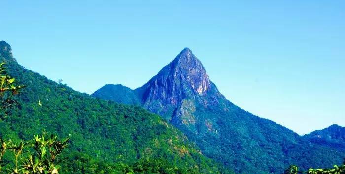 张家界国家森林公园和天门山哪个好玩_天门山好玩还是武陵源好玩_张家界的天门山好玩?