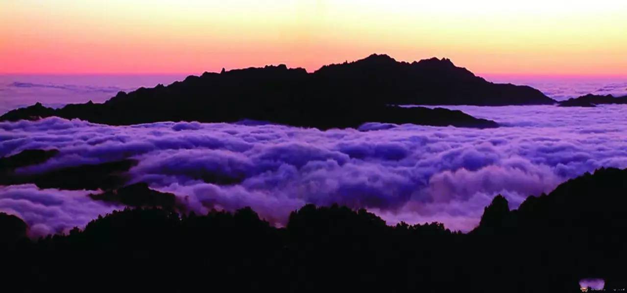 张家界的天门山好玩?_张家界国家森林公园和天门山哪个好玩_天门山好玩还是武陵源好玩