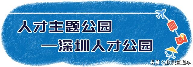 南山好玩又免费的景点_深圳免费景点哪些好玩_深圳南山好玩的免费景点