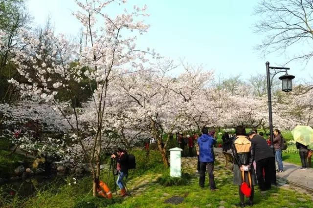西湖3日游_西湖三日攻略旅游路线_西湖三日旅游攻略
