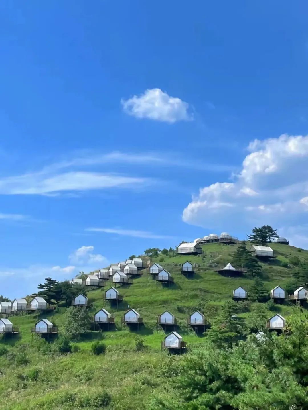 宜昌葛洲坝好玩吗_宜昌葛洲坝旅游攻略_宜昌葛洲坝景区门票