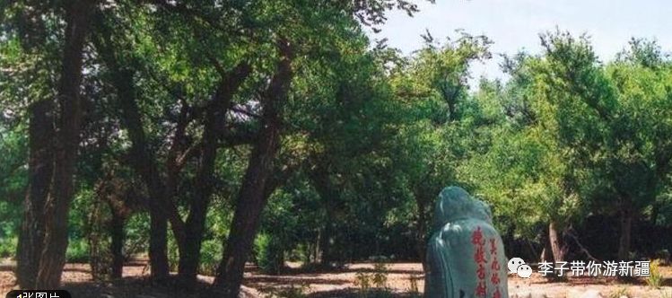 乌鲁木齐攻略天池旅游路线_乌鲁木齐天池景区门票价格_乌鲁木齐天池旅游攻略
