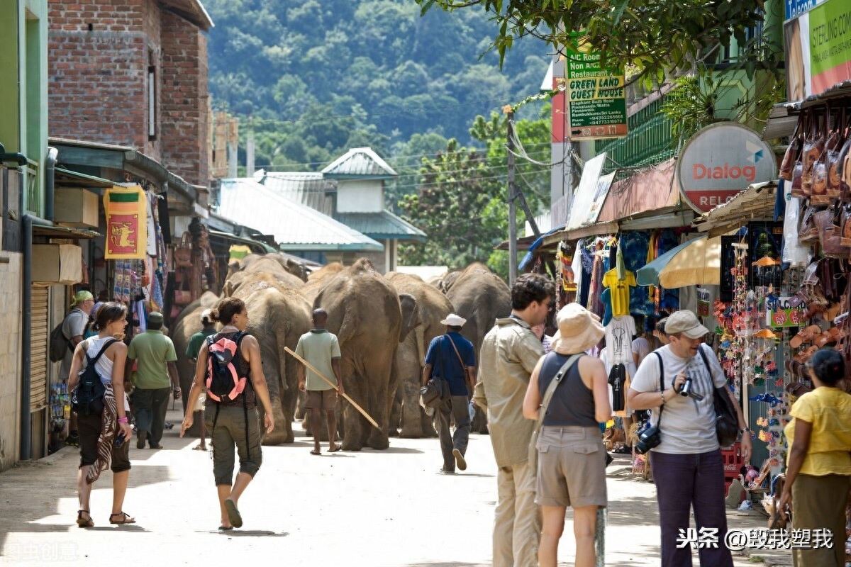 出境旅游护照有效期_出国护照旅游期有效期几年_出国旅游护照有效期