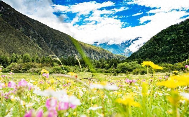 暑期四川游玩5天行程，夏季四川旅游5日游攻略
