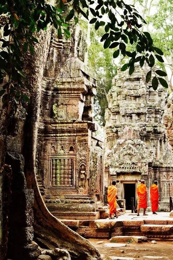 春节后去国外旅游_春节国外旅游哪里便宜_春节国外旅游哪天气好