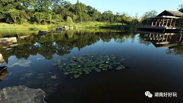 常德好玩的景点_好玩景点常德哪里好玩_好玩景点常德有哪些