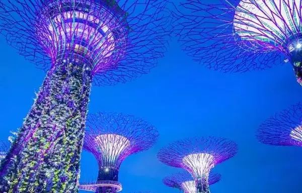 出国旅游办签证怎么办_办出国签证旅游需要什么_出国旅游办理签证