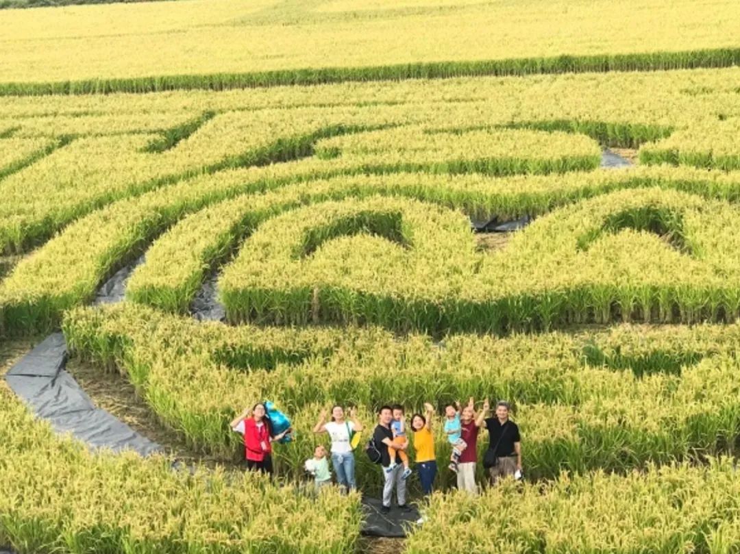 上海长兴岛旅游攻略_长兴芳草地旅游攻略_枸杞岛旅游最强旅游攻略