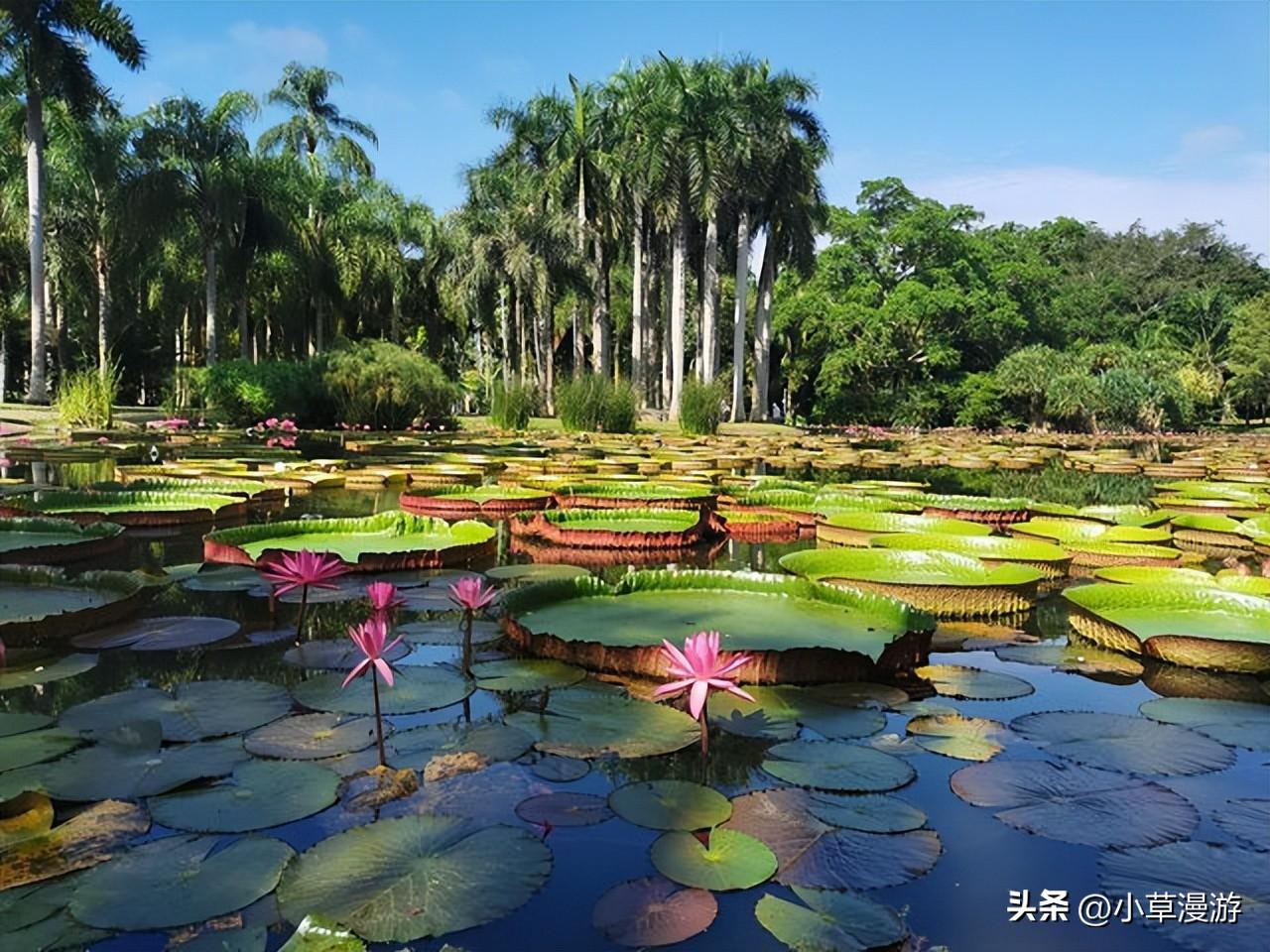 瑞丽腾冲旅游攻略_芒市瑞丽腾冲旅游攻略_瑞丽市旅游攻略