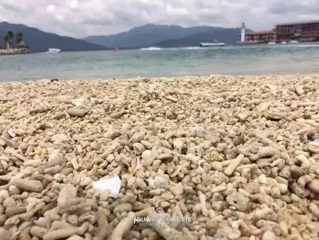 旅游攻略旅游自助游攻略_尖峰岭旅游攻略线路_尖峰岭旅游攻略