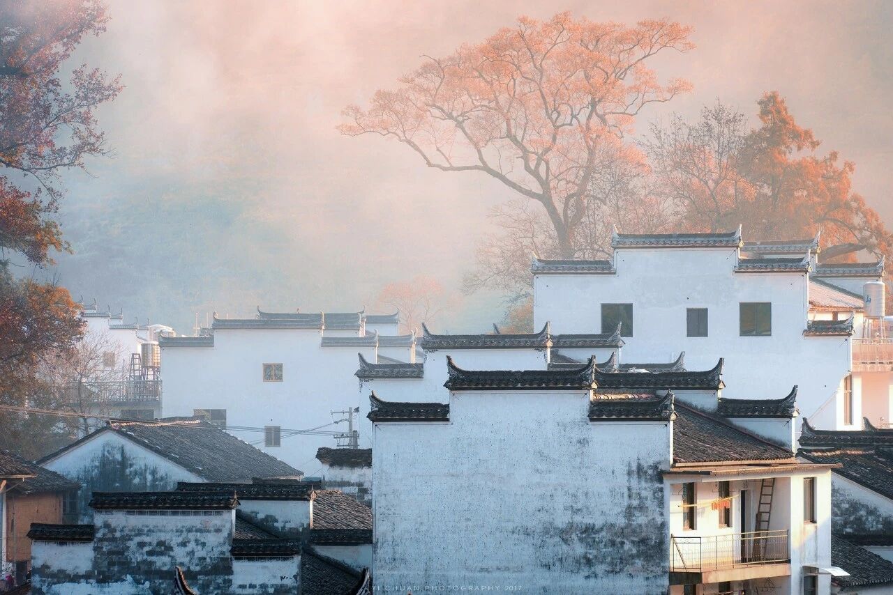 跟着这两条线路走，就能看尽婺源秋天的美景！